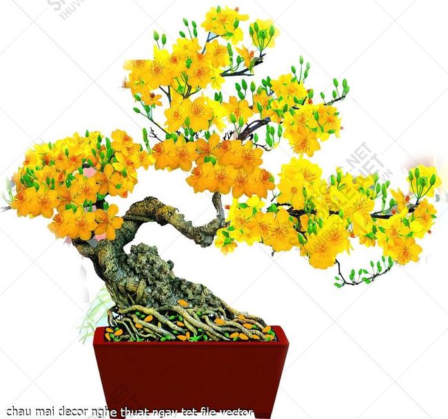 chau mai decor nghe thuat ngay tet file vector